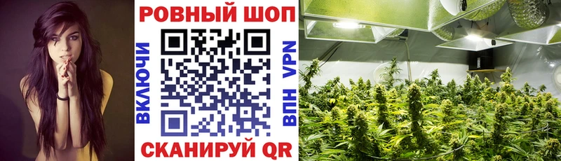Купить наркотик Бокситогорск Cocaine  Амфетамин  kraken зеркало  Мефедрон  ГАШИШ 