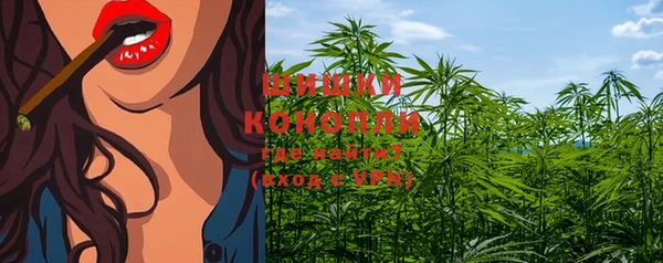 PSILOCYBIN Россошь