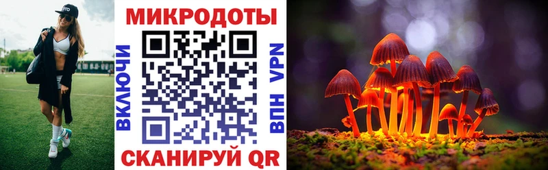 что такое Бокситогорск Псилоцибиновые грибы прущие грибы